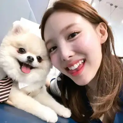 杨芷晴